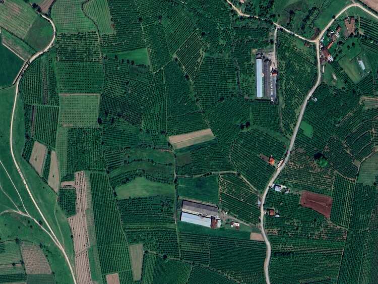 Sakarya Hendekte Satılık Müstakil Tapulu 4.800 M2 Arsa